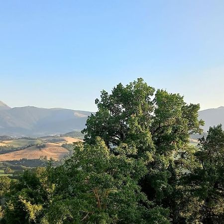 Pigno, Appartamento In Campagna 카글리 외부 사진